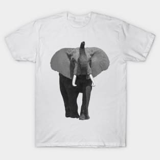 Elephant with the Trunk up in Kenya / Africa T-Shirt